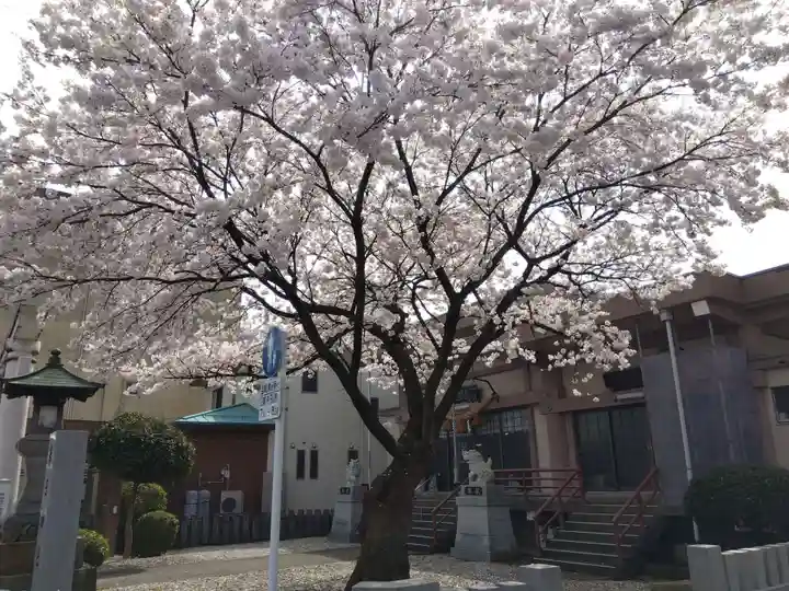 春日神社(福井県)