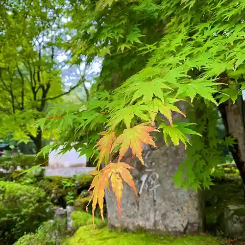 古峯神社の自然