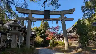 新熊野神社(京都府)