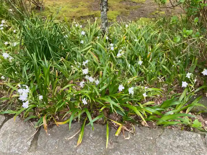 妙本寺(神奈川県)