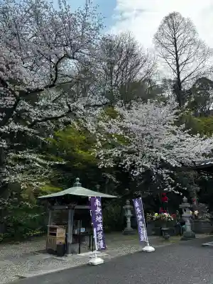 総持寺の{uncategorized: "未分類", other: "その他", undefined: "問題あり", building: "その他建物", grave: "お墓", sacred_gate: "鳥居", guardian: "狛犬", statue: "像", buddha: "仏像", history: "歴史", nature: "自然", garden: "庭園", animal: "動物", pagoda: "塔", temizu: "手水舎", mountain_gate: "山門・神門", sanctuary: "本殿・本堂", subordinate: "末社・摂社", art: "芸術", scenery: "景色", jizo: "地蔵", ema: "絵馬", goshuin: "御朱印", omikuji: "おみくじ", items: "授与品その他", amulet: "お守り", goshuincho: "御朱印帳", eats: "食事", festival: "お祭り", votive_dance: "神楽", shichigosan: "七五三参", wedding: "結婚式", experience: "体験その他", initially: "初詣", around: "周辺", anti_infection: "感染症対策"}