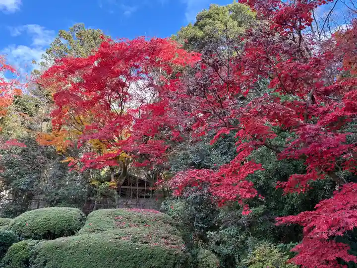 詩仙堂(丈山寺)(京都府)