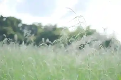 大安寺(奈良県)