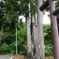 福島大神宮(北海道)