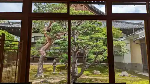 妙覺寺（妙覚寺）(京都府)