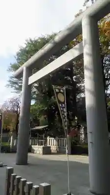 阿佐ヶ谷神明宮の鳥居
