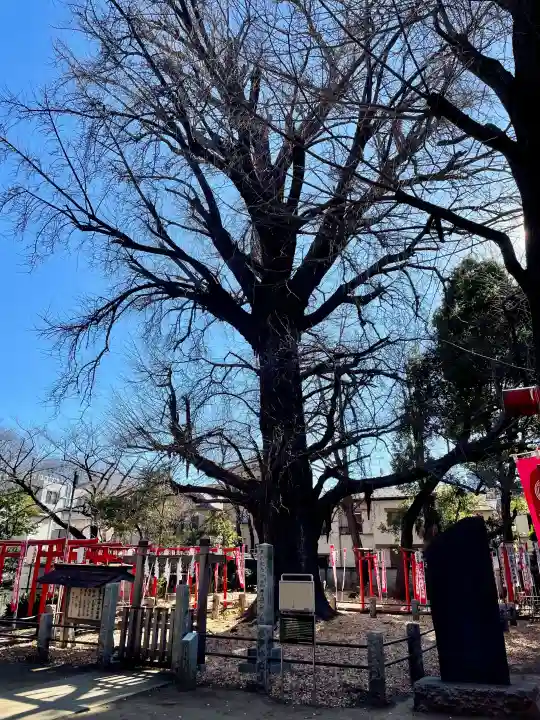 武芳稲荷神社の{uncategorized: "未分類", other: "その他", undefined: "問題あり", building: "その他建物", grave: "お墓", sacred_gate: "鳥居", guardian: "狛犬", statue: "像", buddha: "仏像", history: "歴史", nature: "自然", garden: "庭園", animal: "動物", pagoda: "塔", temizu: "手水舎", mountain_gate: "山門・神門", sanctuary: "本殿・本堂", subordinate: "末社・摂社", art: "芸術", scenery: "景色", jizo: "地蔵", ema: "絵馬", goshuin: "御朱印", omikuji: "おみくじ", items: "授与品その他", amulet: "お守り", goshuincho: "御朱印帳", eats: "食事", festival: "お祭り", votive_dance: "神楽", shichigosan: "七五三参", wedding: "結婚式", experience: "体験その他", initially: "初詣", around: "周辺", anti_infection: "感染症対策"}