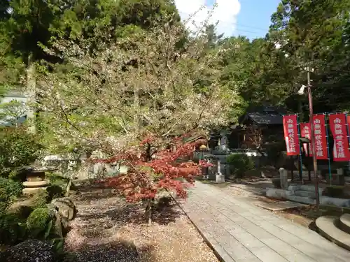極楽寺(徳島県)