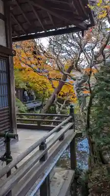 禅林寺(永観堂)(京都府)