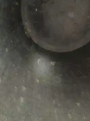 方広寺(京都府)