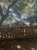 岩戸神社(砥鹿神社奥宮境外末社)(愛知県)