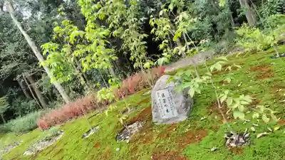 賀茂御祖神社（下鴨神社）(京都府)
