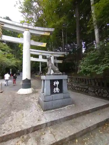 三峯神社の狛犬