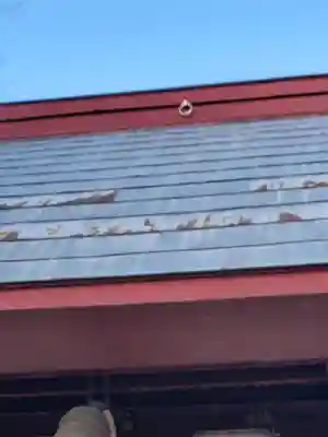 長良神社（邑楽町中野）(群馬県)