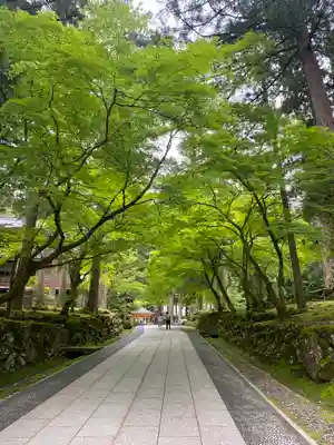 永平寺(福井県)