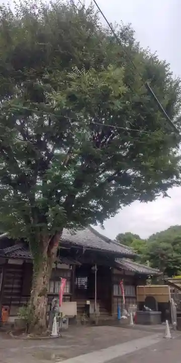 魚籃寺(東京都)