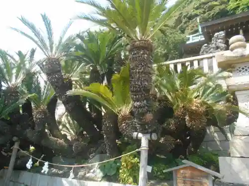 叶神社（東叶神社）の自然