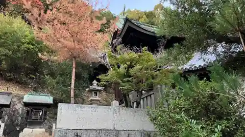 鴨神社の本殿