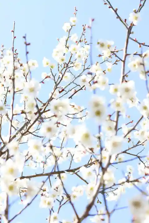 常樂寺(滋賀県)