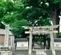 阿麻美許曽神社の鳥居
