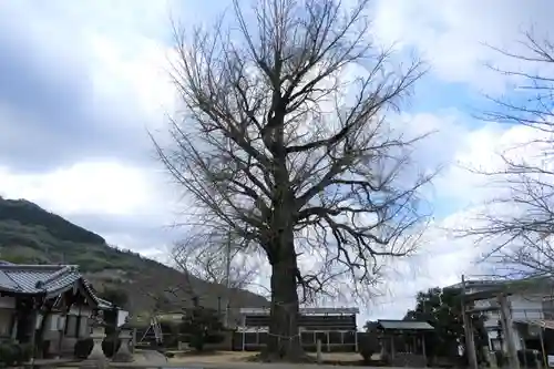 丹生酒殿神社の景色