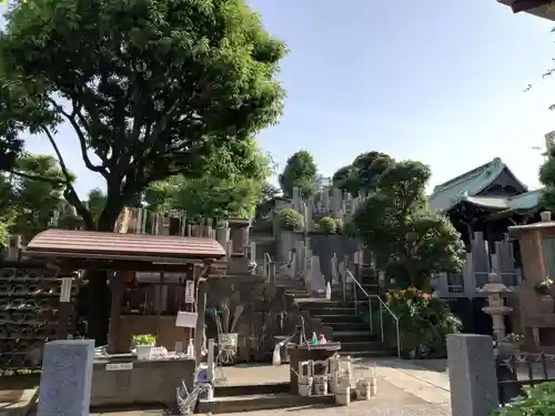 立行寺のお墓