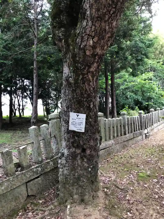 佐保神社の自然