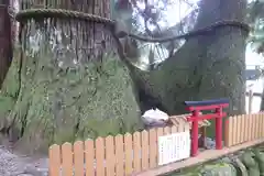 室生龍穴神社の自然