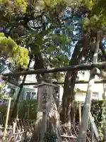 荏柄天神社の自然