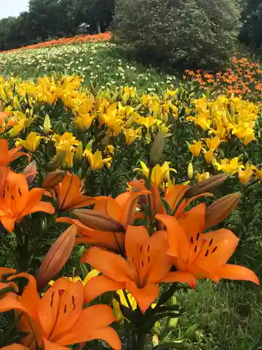 秋葉總本殿可睡斎の自然