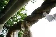 上野総社神社の建物その他