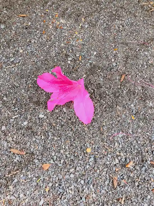 實相山 正法院(静岡県)