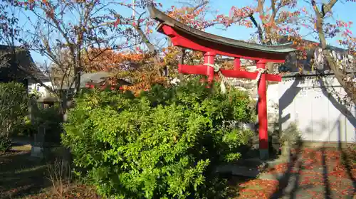 鏡日吉神社の鳥居