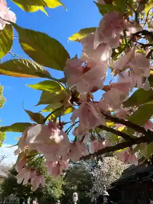 平野神社(京都府)
