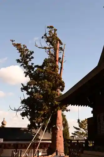 吉備津彦神社(岡山県)