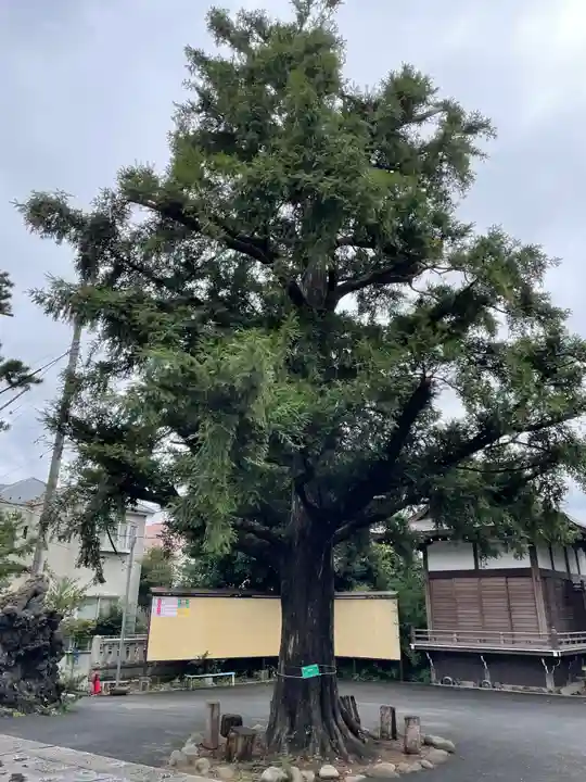 御霊神社(東京都)