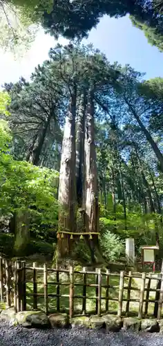 御岩神社の自然
