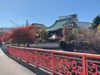 金剛寺(東京都)