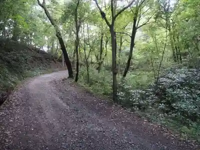 宝登山神社奥宮の周辺