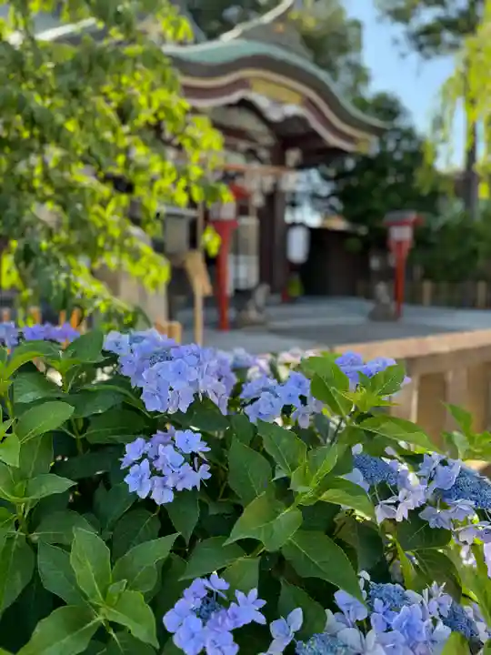 川越八幡宮(埼玉県)