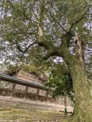 出石神社の{uncategorized: "未分類", other: "その他", undefined: "問題あり", building: "その他建物", grave: "お墓", sacred_gate: "鳥居", guardian: "狛犬", statue: "像", buddha: "仏像", history: "歴史", nature: "自然", garden: "庭園", animal: "動物", pagoda: "塔", temizu: "手水舎", mountain_gate: "山門・神門", sanctuary: "本殿・本堂", subordinate: "末社・摂社", art: "芸術", scenery: "景色", jizo: "地蔵", ema: "絵馬", goshuin: "御朱印", omikuji: "おみくじ", items: "授与品その他", amulet: "お守り", goshuincho: "御朱印帳", eats: "食事", festival: "お祭り", votive_dance: "神楽", shichigosan: "七五三参", wedding: "結婚式", experience: "体験その他", initially: "初詣", around: "周辺", anti_infection: "感染症対策"}