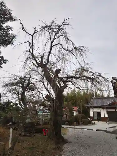 円通寺(福島県)