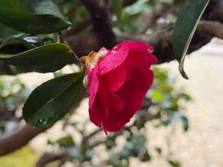 西方山極楽寺(岐阜県)