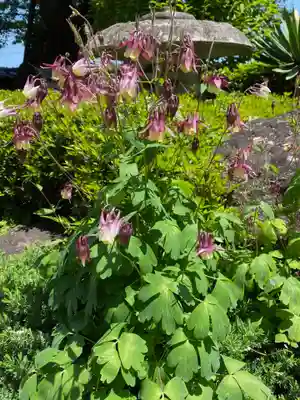 本栖寺(福島県)