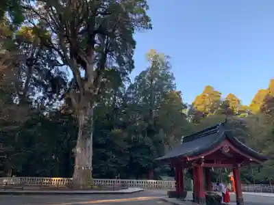 霧島神宮のその他建物