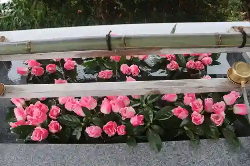 豊景神社の手水舎