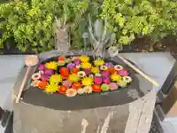 駒込妙義神社(東京都)