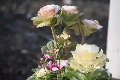 熊野福藏神社の手水舎