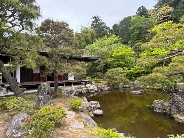 慈照寺(慈照禅寺・銀閣寺)の{uncategorized: "未分類", other: "その他", undefined: "問題あり", building: "その他建物", grave: "お墓", sacred_gate: "鳥居", guardian: "狛犬", statue: "像", buddha: "仏像", history: "歴史", nature: "自然", garden: "庭園", animal: "動物", pagoda: "塔", temizu: "手水舎", mountain_gate: "山門・神門", sanctuary: "本殿・本堂", subordinate: "末社・摂社", art: "芸術", scenery: "景色", jizo: "地蔵", ema: "絵馬", goshuin: "御朱印", omikuji: "おみくじ", items: "授与品その他", amulet: "お守り", goshuincho: "御朱印帳", eats: "食事", festival: "お祭り", votive_dance: "神楽", shichigosan: "七五三参", wedding: "結婚式", experience: "体験その他", initially: "初詣", around: "周辺", anti_infection: "感染症対策"}