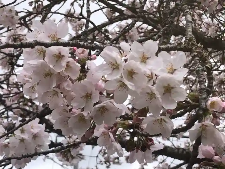山神社(宮城県)